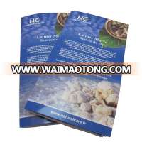 custom folding leaflet flyer brochure printing